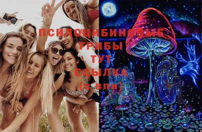 Псилоцибиновые грибы Magic Shrooms  нарко площадка как зайти  Еманжелинск 